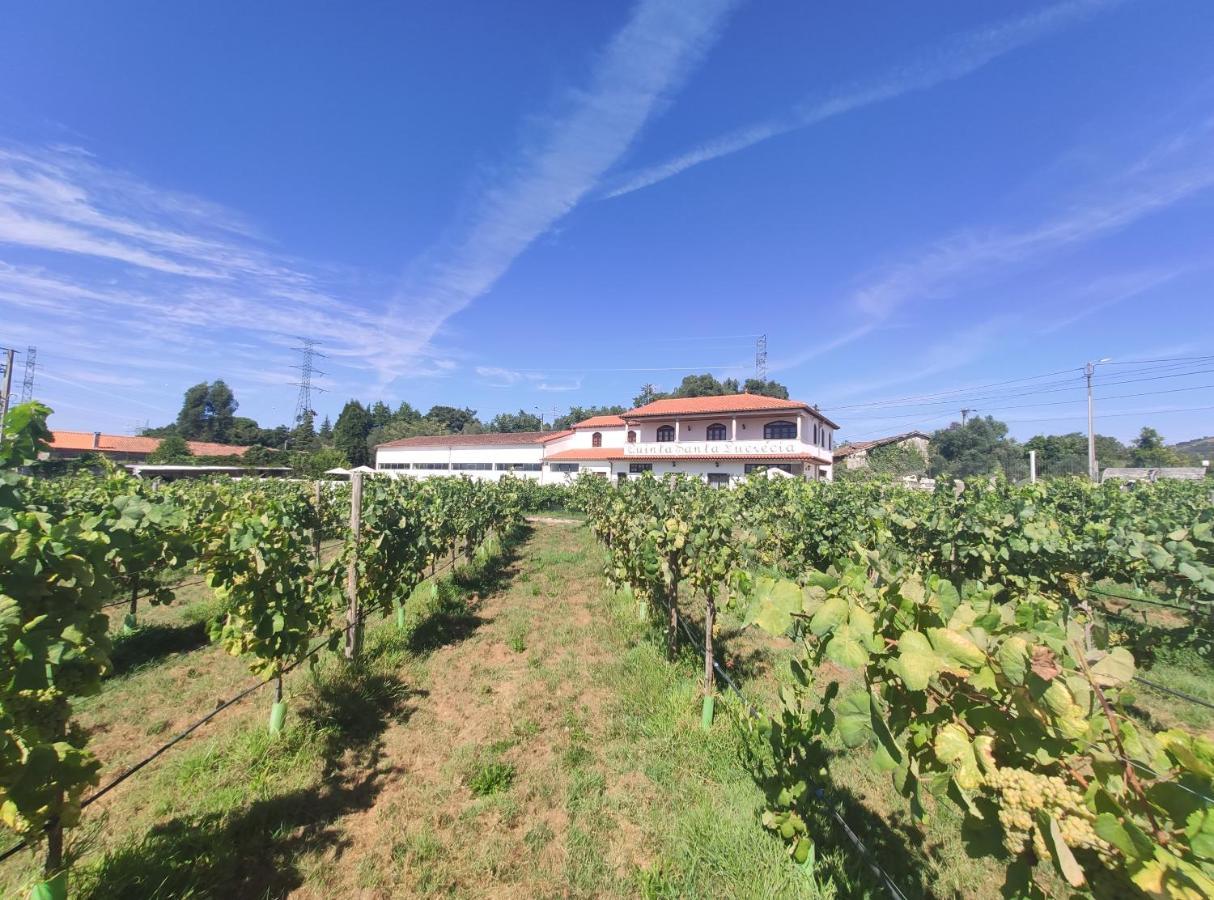 Quinta Santa Lucrecia Villa Braga Eksteriør billede